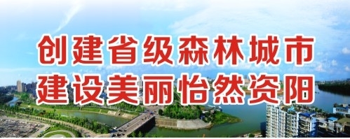 www.操逼网站创建省级森林城市 建设美丽怡然资阳